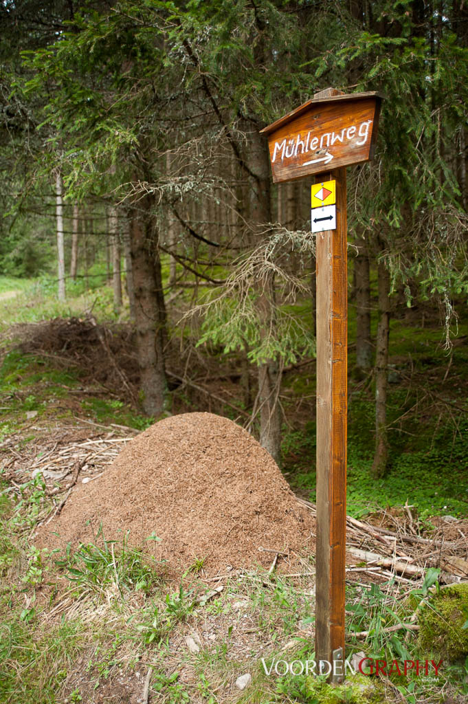 2010 Querweg Wanderung: Von Freiburg nach Konstanz