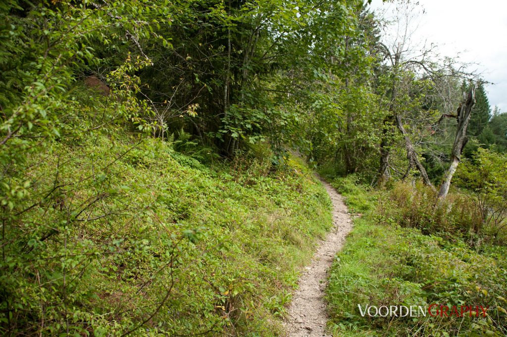 2010 Querweg Wanderung: Von Freiburg nach Konstanz