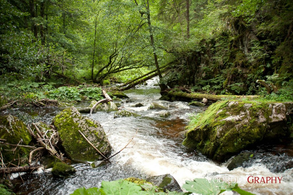 2010 Querweg Wanderung: Von Freiburg nach Konstanz