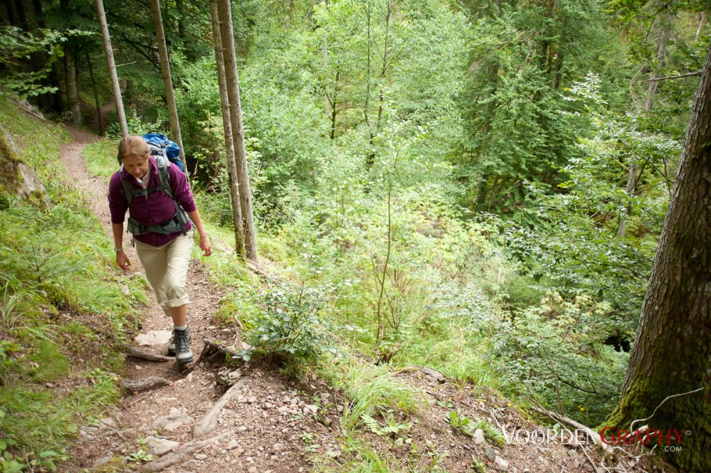 2010 Querweg Wanderung: Von Freiburg nach Konstanz