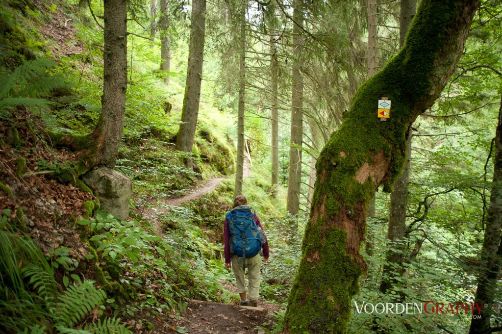 2010 Querweg Wanderung: Von Freiburg nach Konstanz