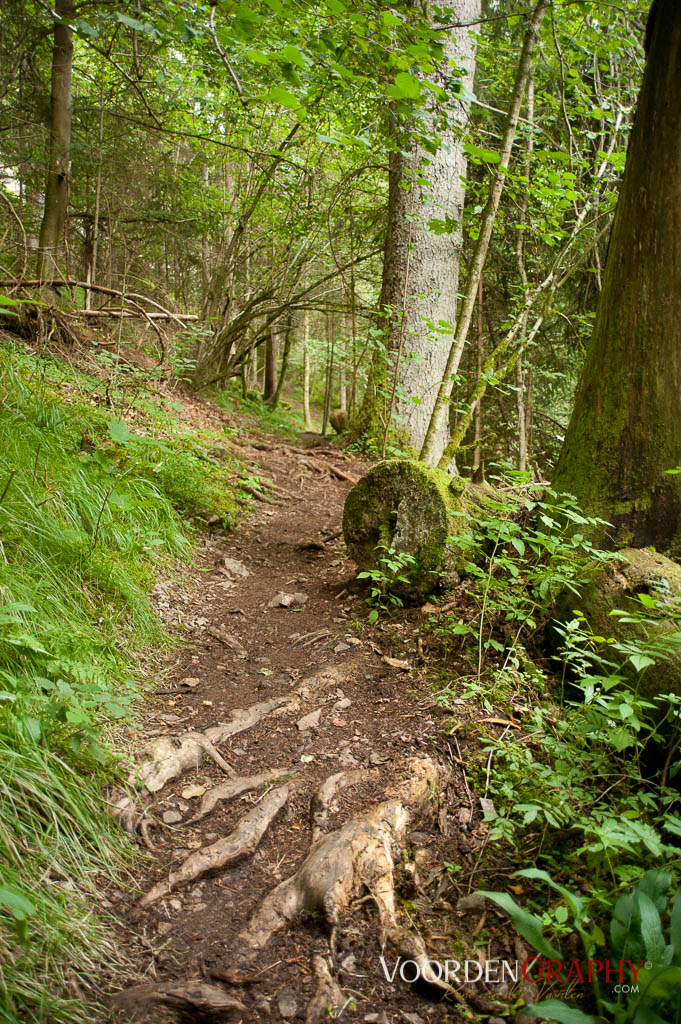 2010 Querweg Wanderung: Von Freiburg nach Konstanz