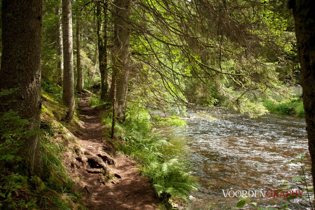 2010 Querweg Wanderung: Von Freiburg nach Konstanz