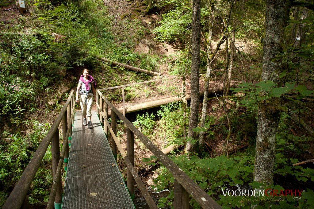 2010 Querweg Wanderung: Von Freiburg nach Konstanz