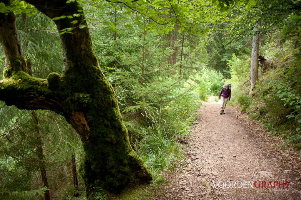 2010 Querweg Wanderung: Von Freiburg nach Konstanz