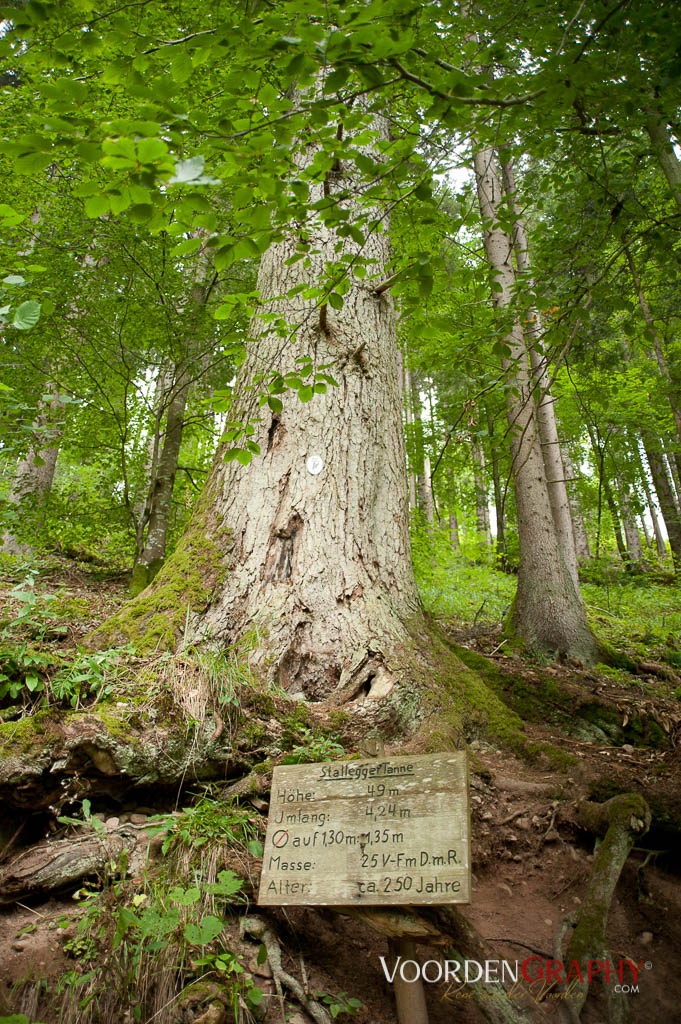 2010 Querweg Wanderung: Von Freiburg nach Konstanz