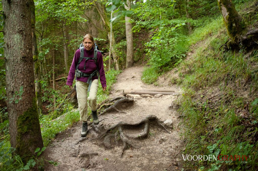 2010 Querweg Wanderung: Von Freiburg nach Konstanz