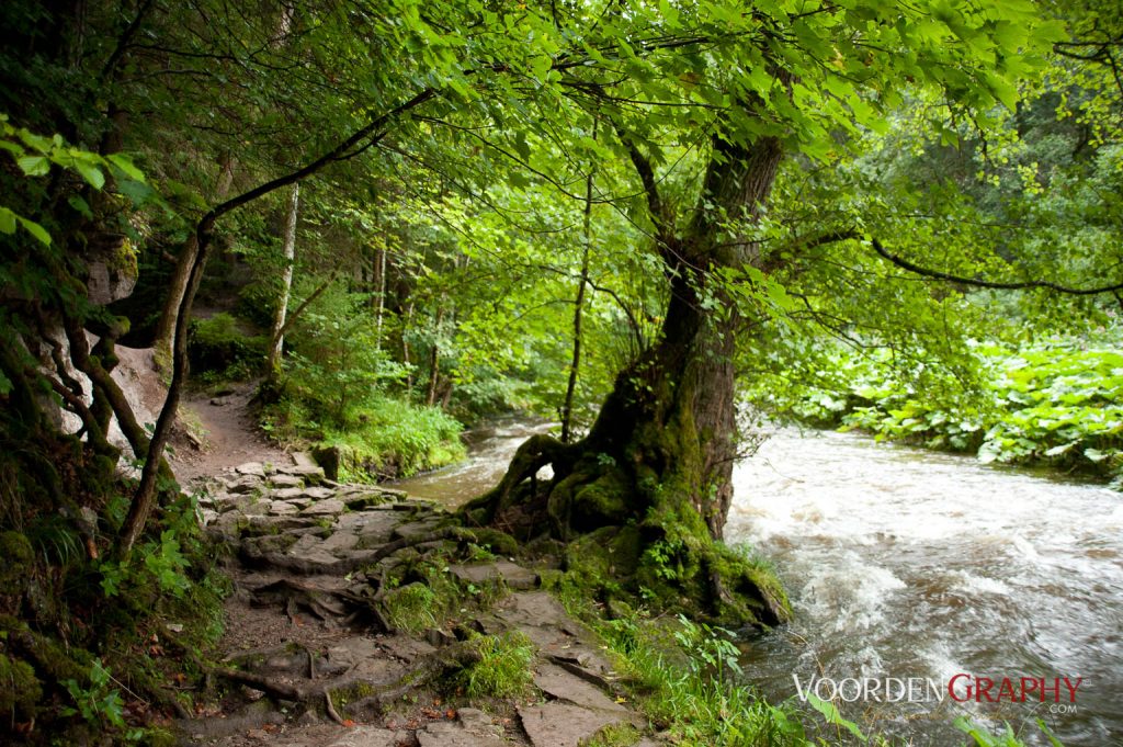 2010 Querweg Wanderung: Von Freiburg nach Konstanz