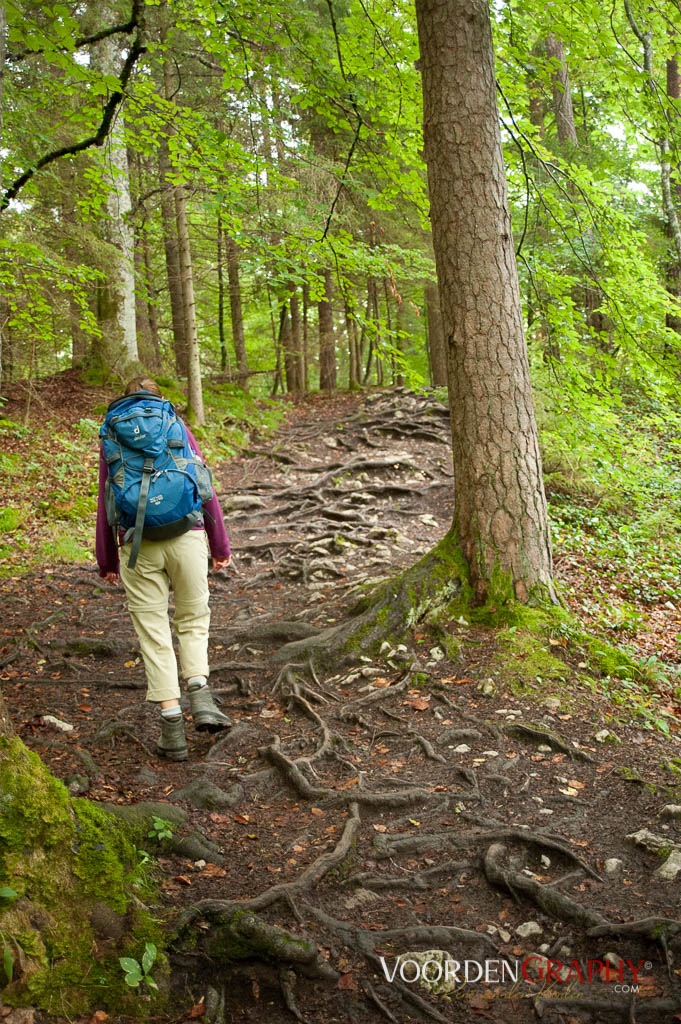 2010 Querweg Wanderung: Von Freiburg nach Konstanz