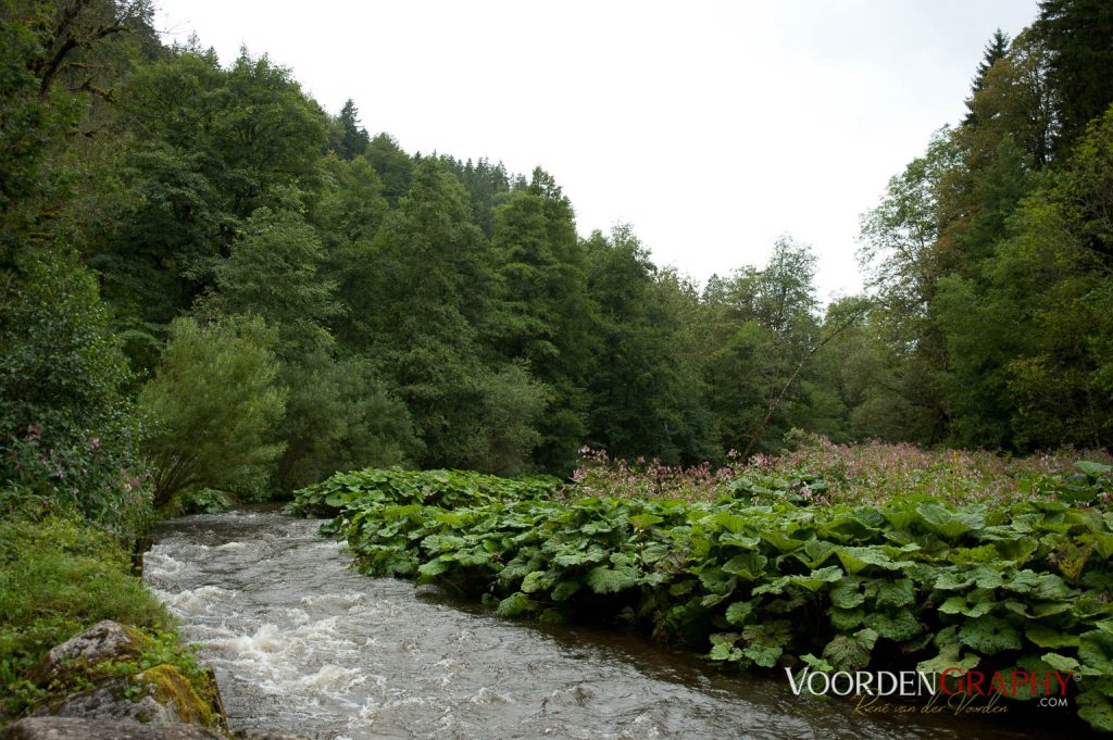 2010 Querweg Wanderung: Von Freiburg nach Konstanz