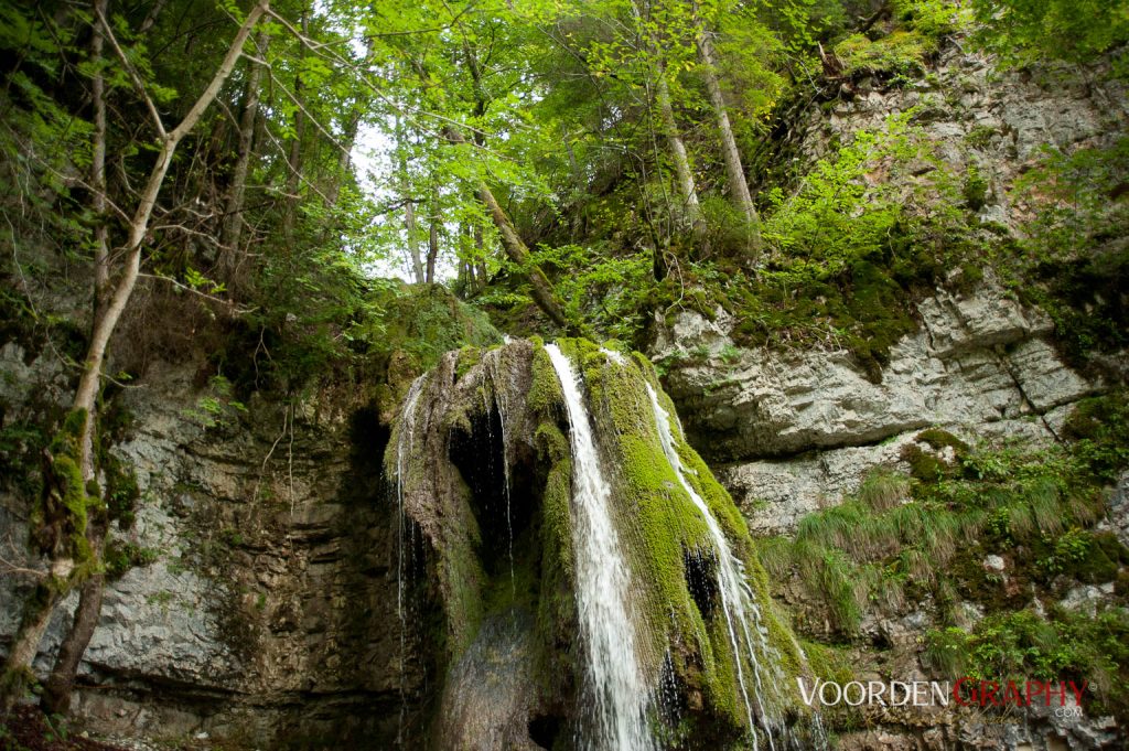 2010 Querweg Wanderung: Von Freiburg nach Konstanz