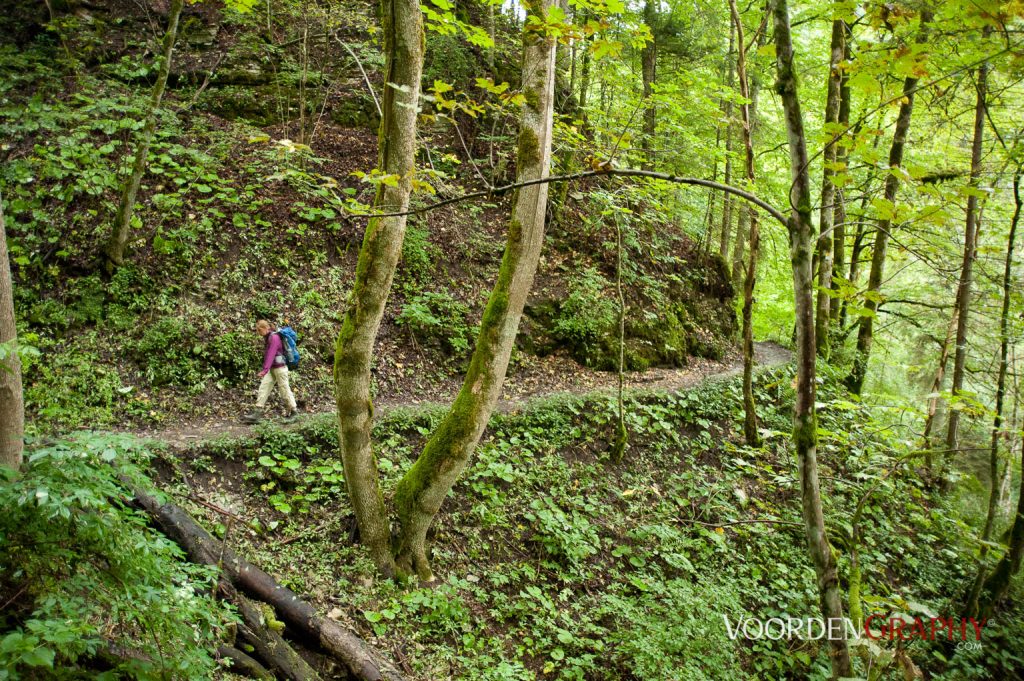 2010 Querweg Wanderung: Von Freiburg nach Konstanz