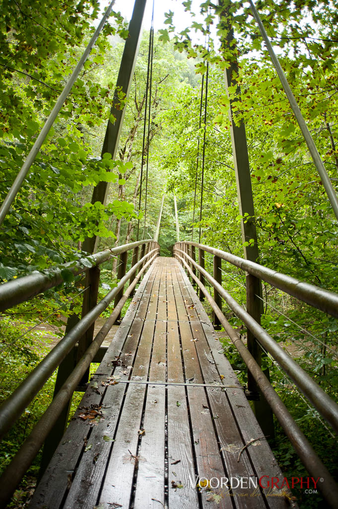 2010 Querweg Wanderung: Von Freiburg nach Konstanz