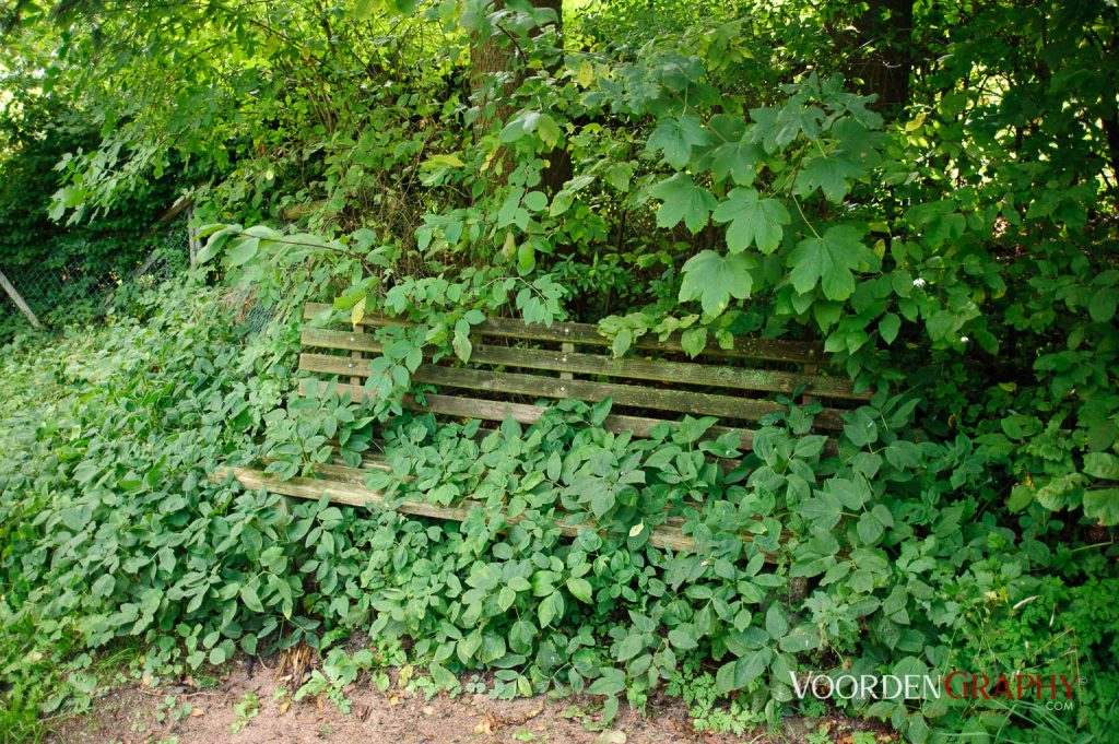 2010 Querweg Wanderung: Von Freiburg nach Konstanz