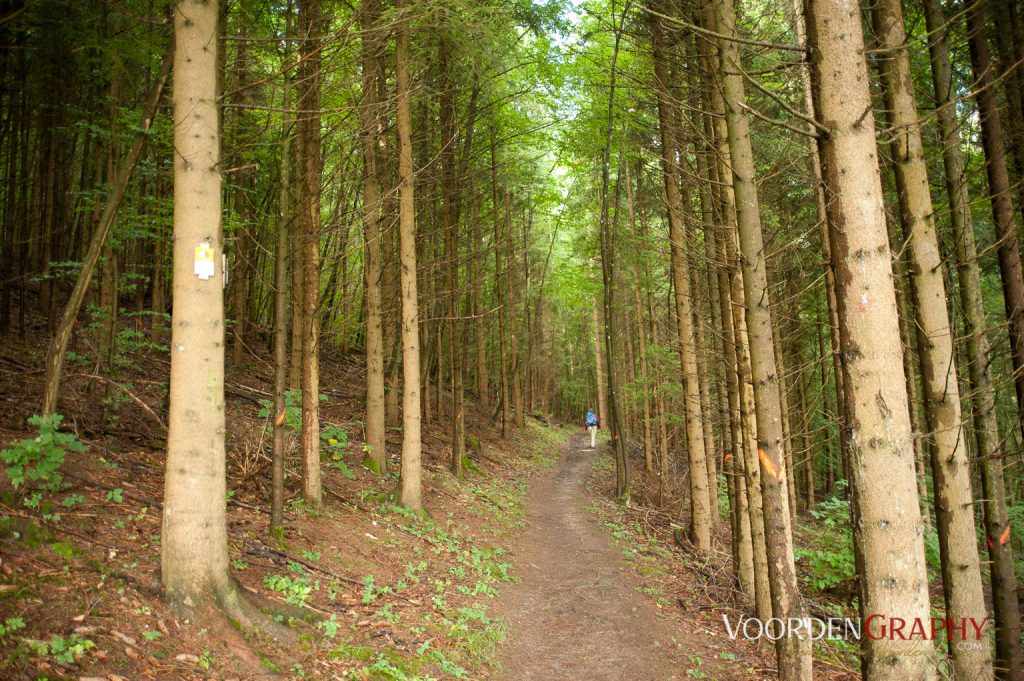 2010 Querweg Wanderung: Von Freiburg nach Konstanz