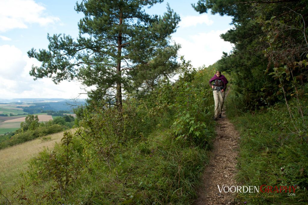 2010 Querweg Wanderung: Von Freiburg nach Konstanz