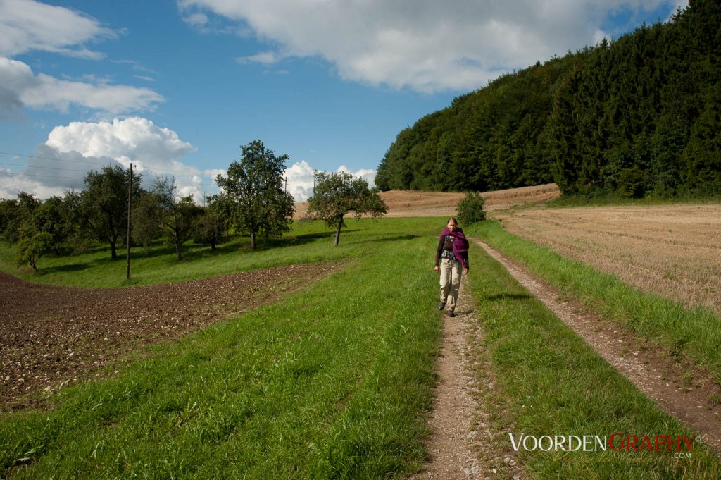 2010 Querweg Wanderung: Von Freiburg nach Konstanz