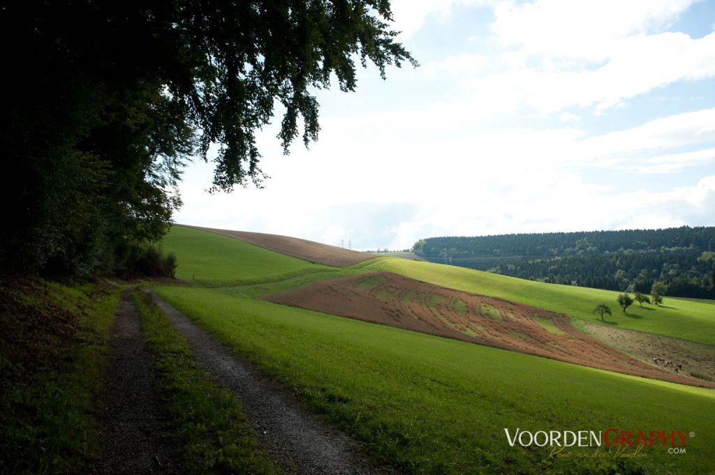 2010 Querweg Wanderung: Von Freiburg nach Konstanz