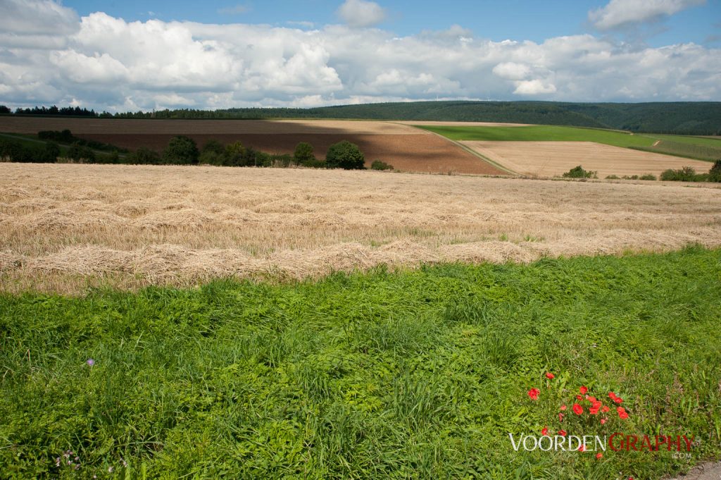 2010 Querweg Wanderung: Von Freiburg nach Konstanz