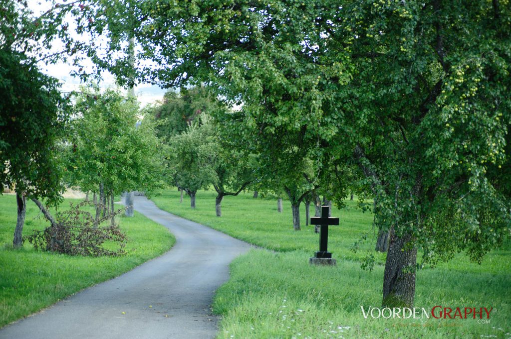 2010 Querweg Wanderung: Von Freiburg nach Konstanz