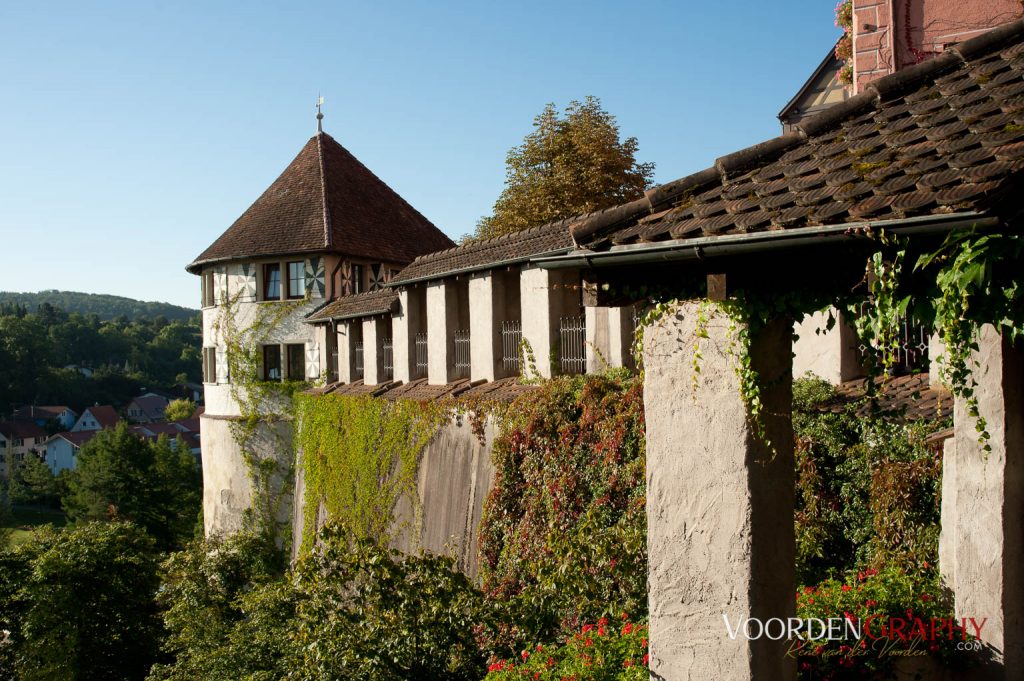 2010 Querweg Wanderung: Von Freiburg nach Konstanz