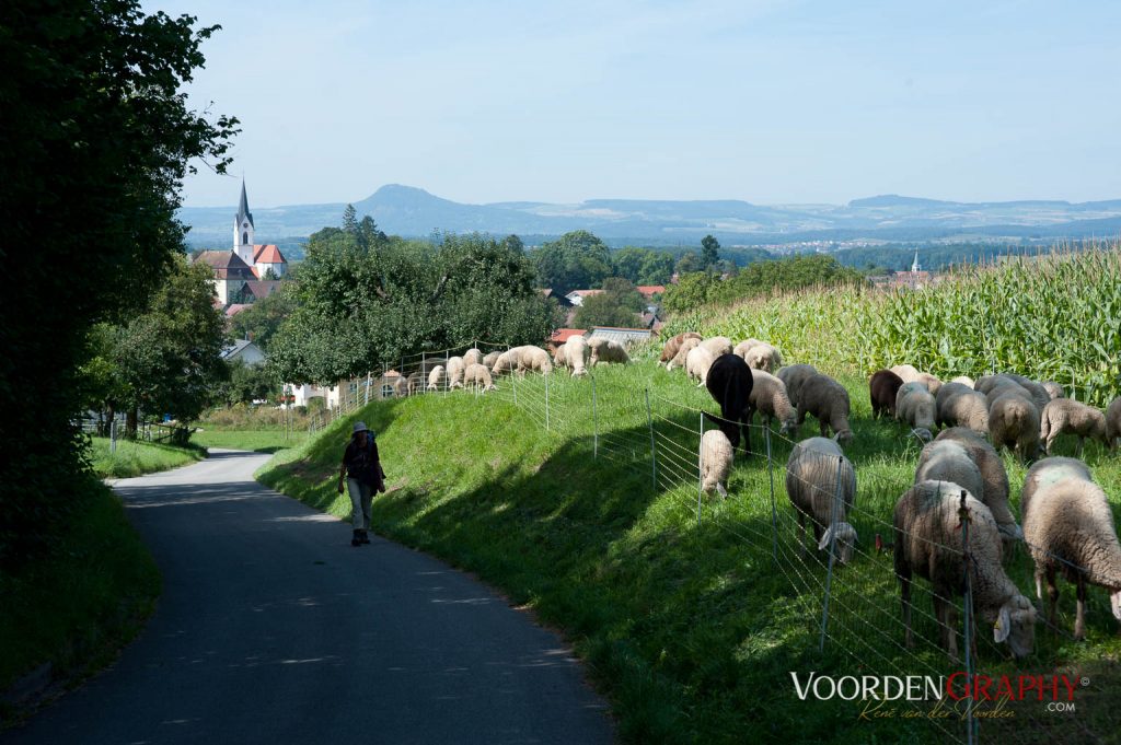 2010 Querweg Wanderung: Von Freiburg nach Konstanz