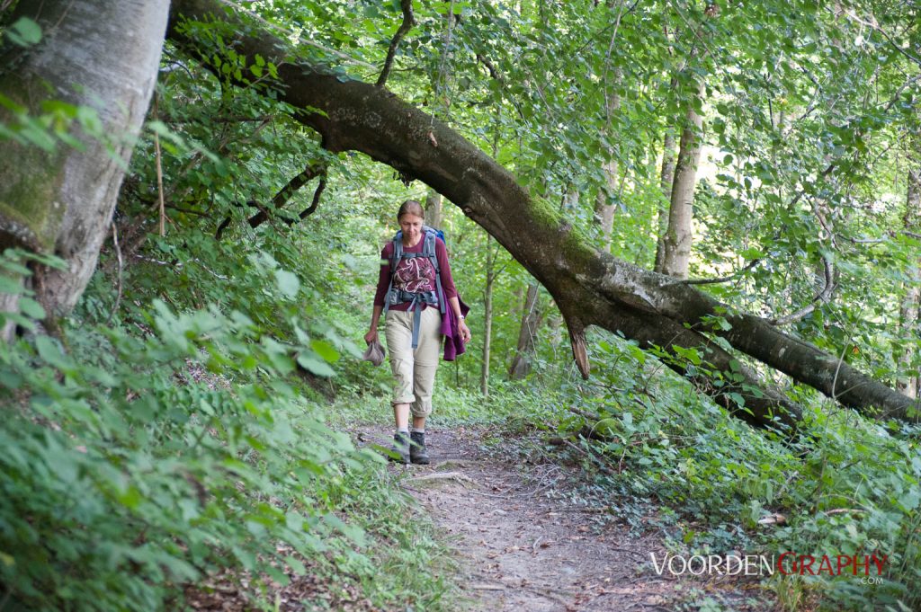 2010 Querweg Wanderung: Von Freiburg nach Konstanz