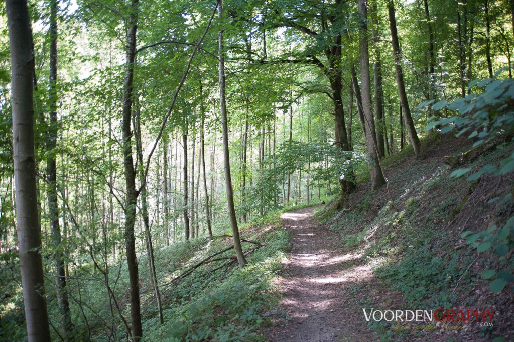 2010 Querweg Wanderung: Von Freiburg nach Konstanz