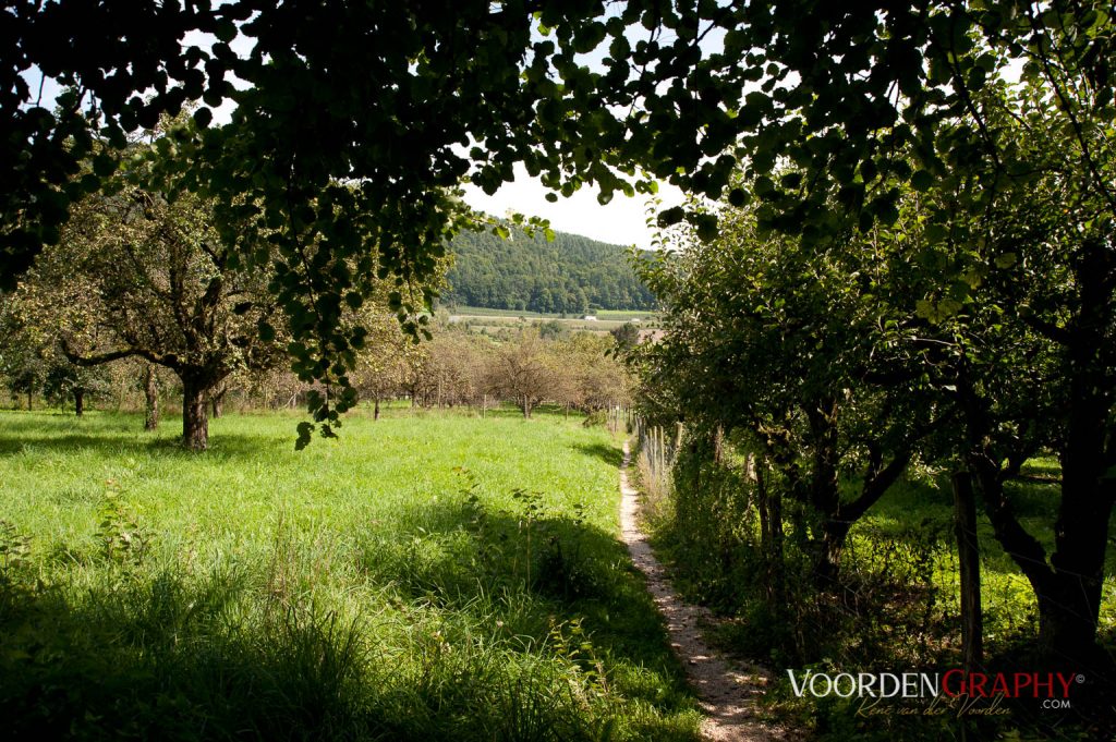 2010 Querweg Wanderung: Von Freiburg nach Konstanz