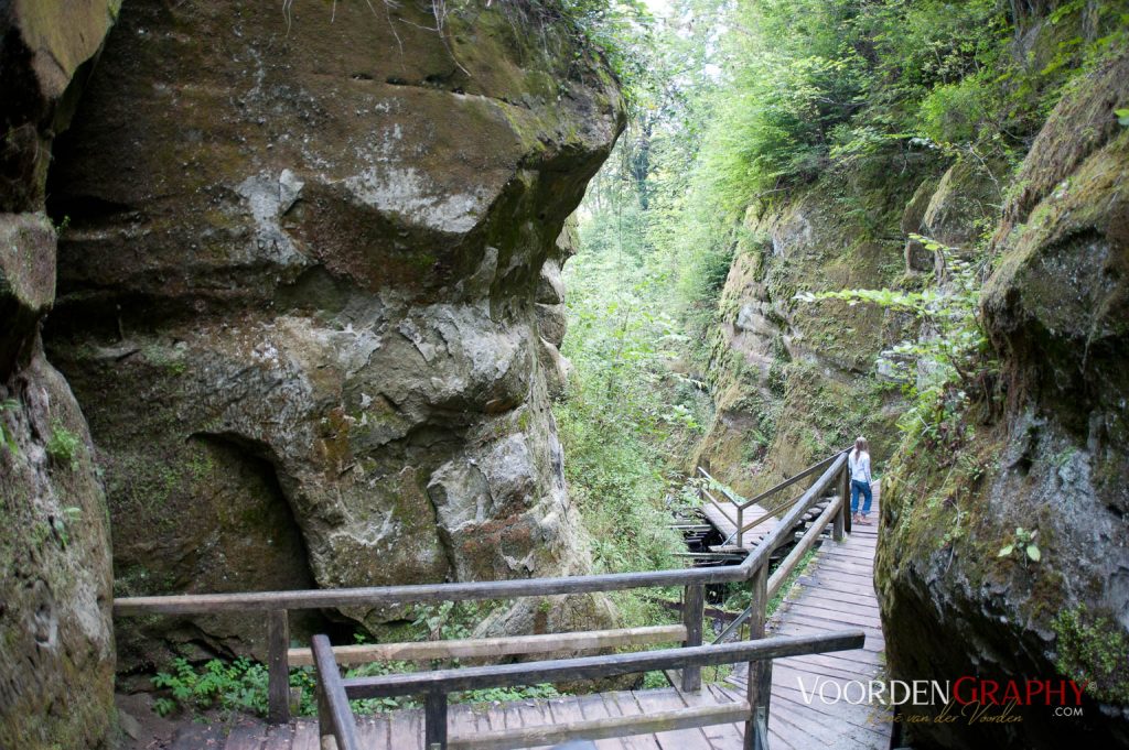 2010 Querweg Wanderung: Von Freiburg nach Konstanz