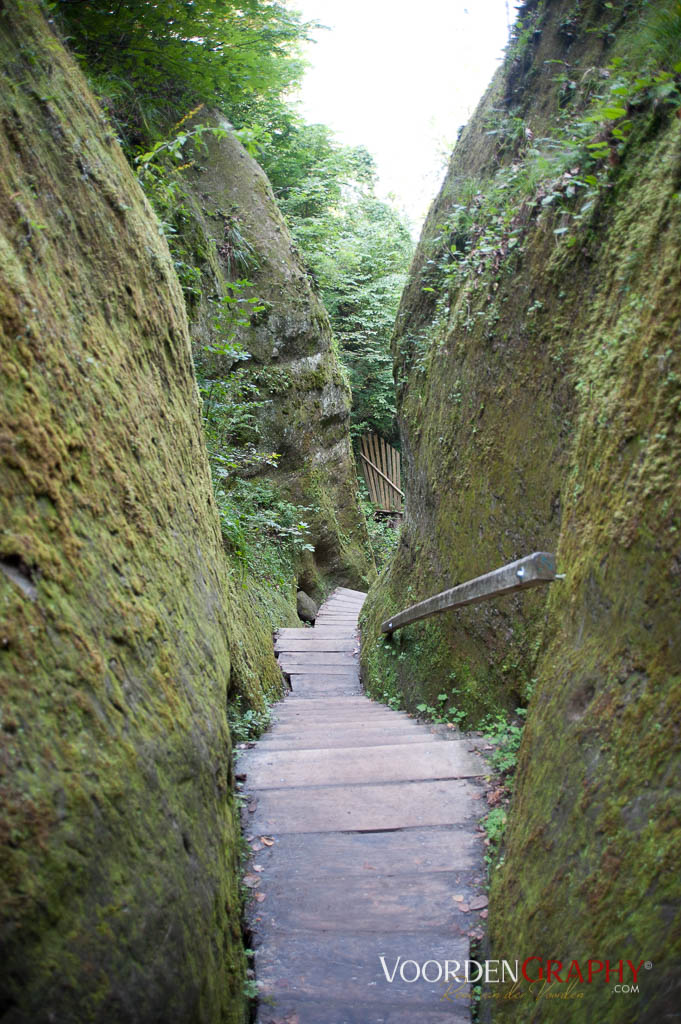 2010 Querweg Wanderung: Von Freiburg nach Konstanz