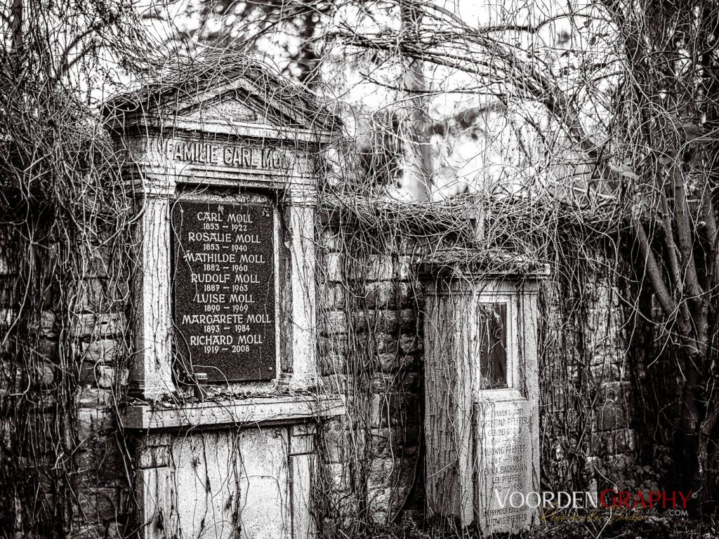 Hauptfriedhof / Jüdischer Friedhof Mannheim