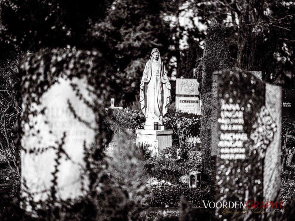 Hauptfriedhof / Jüdischer Friedhof Mannheim