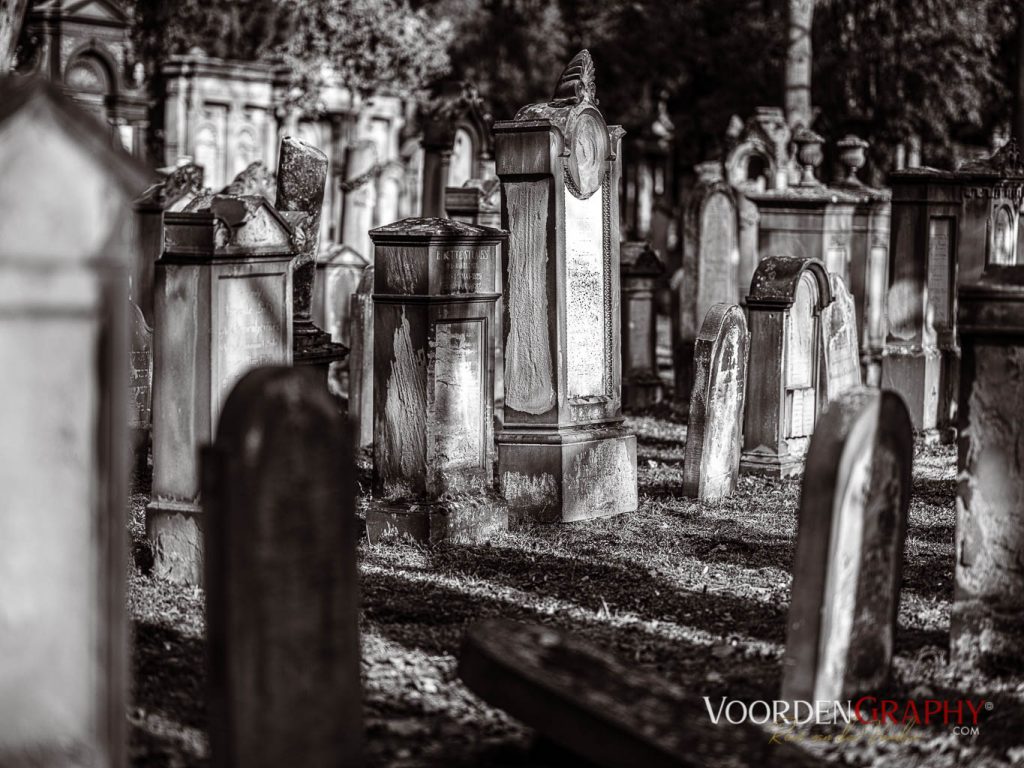 Hauptfriedhof / Jüdischer Friedhof Mannheim