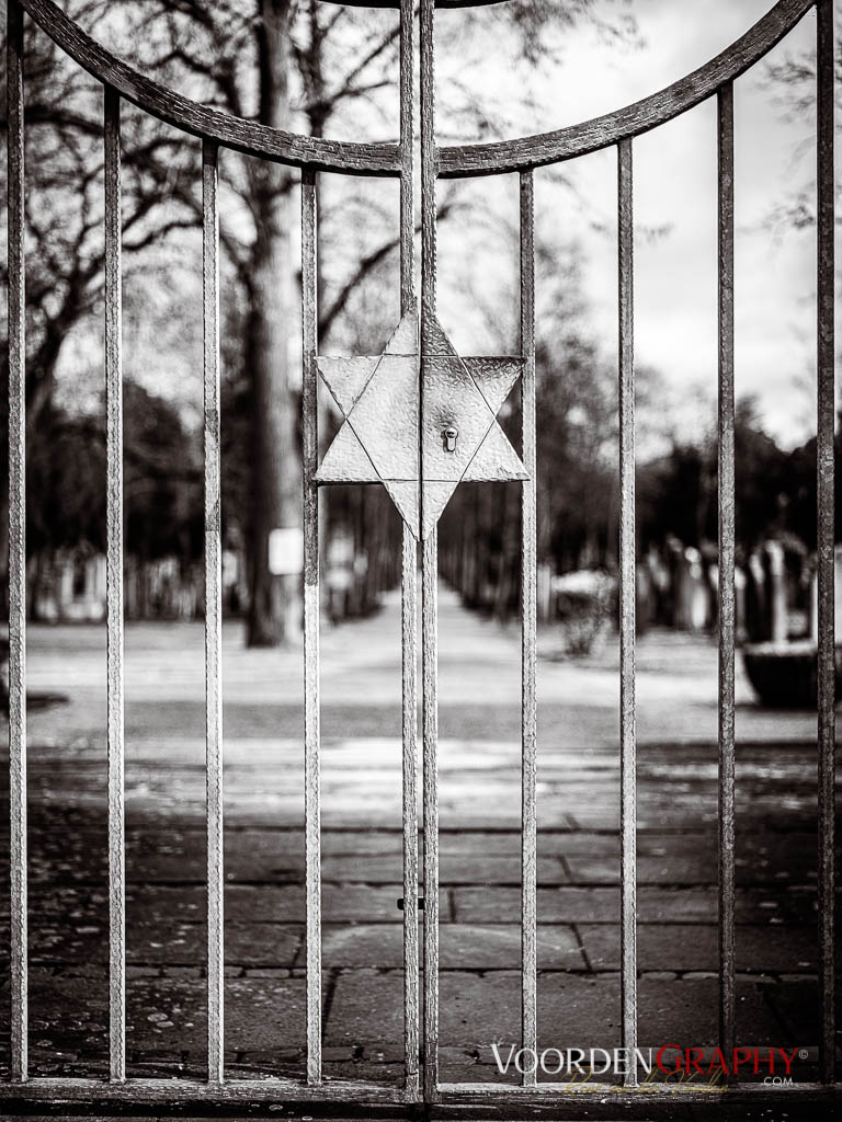 Hauptfriedhof / Jüdischer Friedhof Mannheim