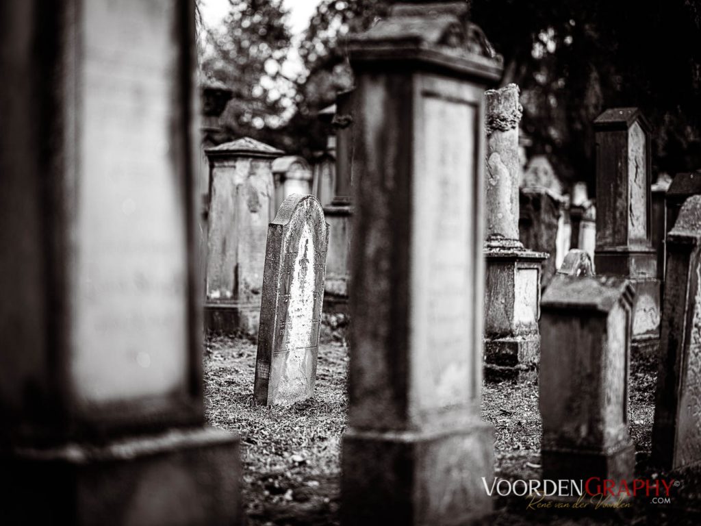 Hauptfriedhof / Jüdischer Friedhof Mannheim