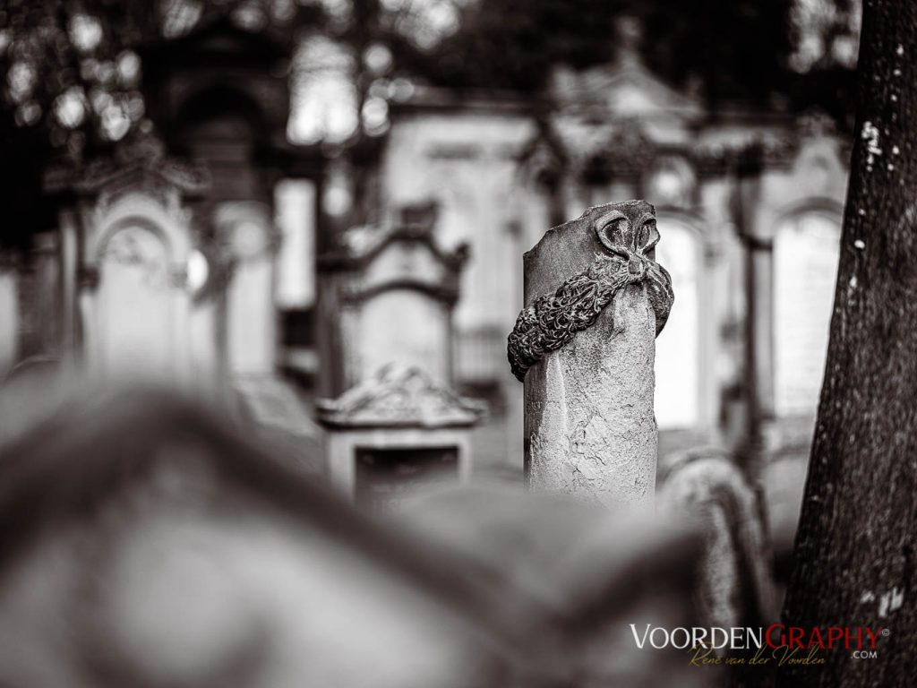 Hauptfriedhof / Jüdischer Friedhof Mannheim