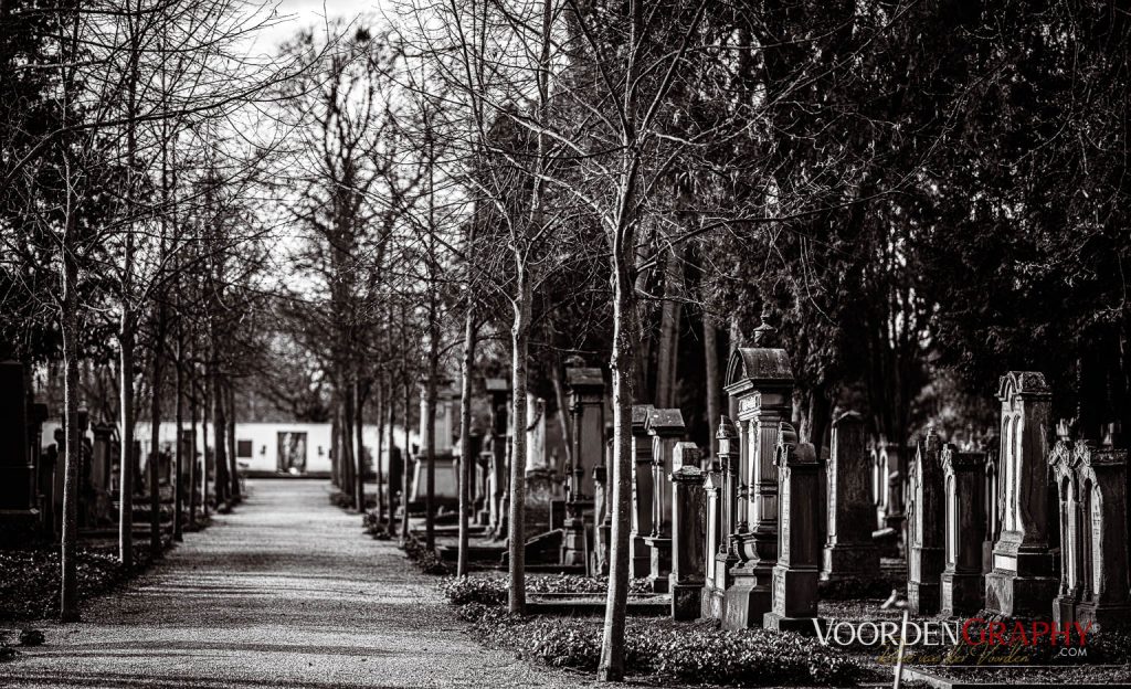 Hauptfriedhof / Jüdischer Friedhof Mannheim