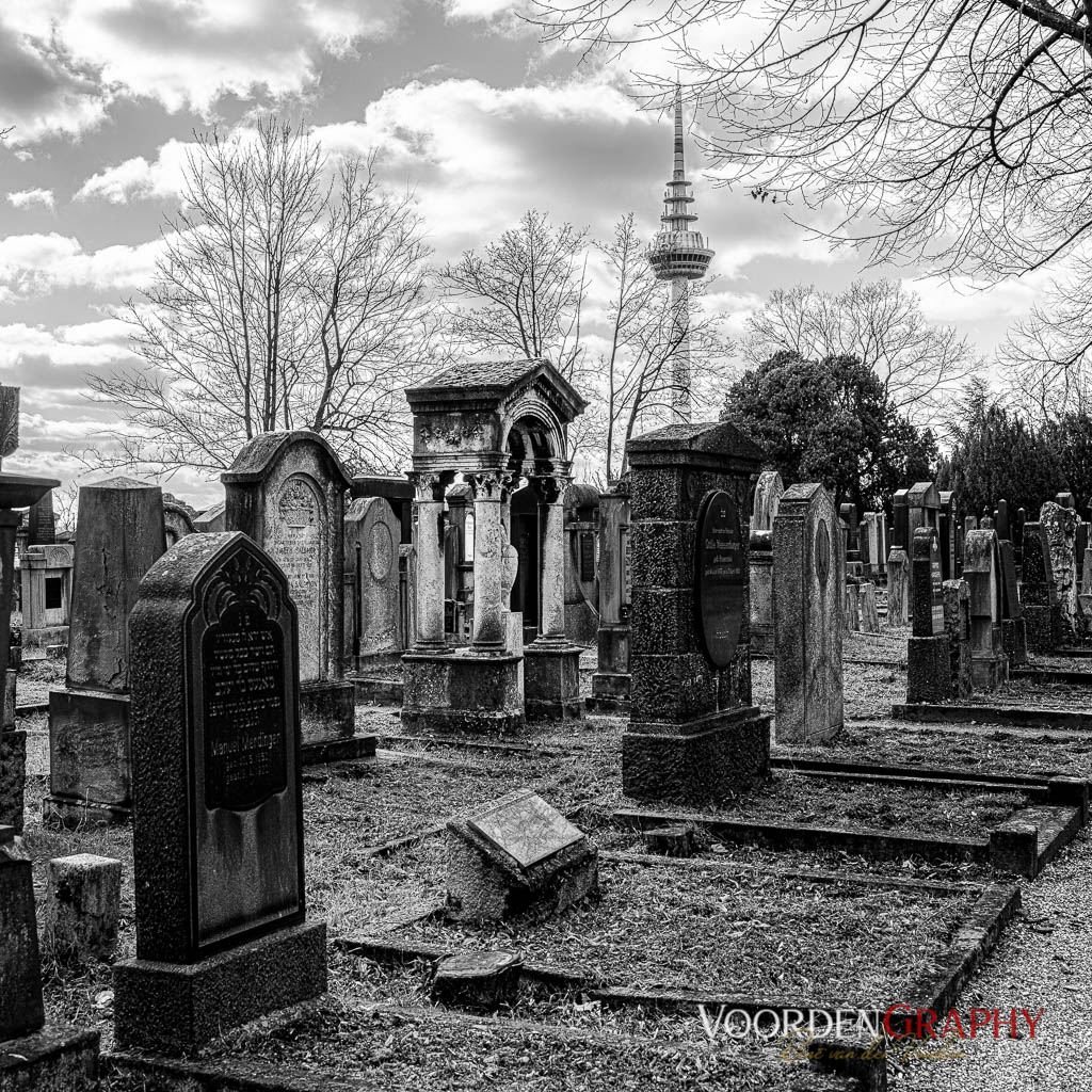 Hauptfriedhof / Jüdischer Friedhof Mannheim