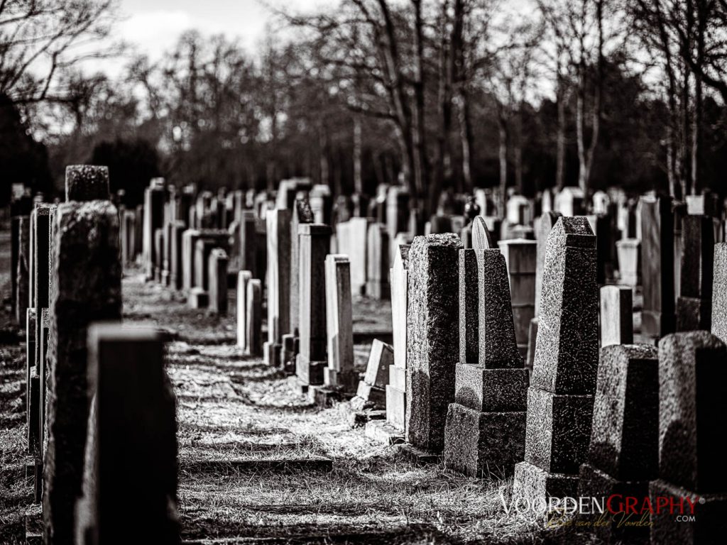 Hauptfriedhof / Jüdischer Friedhof Mannheim