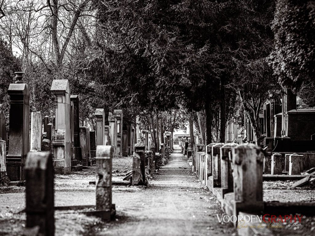 Hauptfriedhof / Jüdischer Friedhof Mannheim