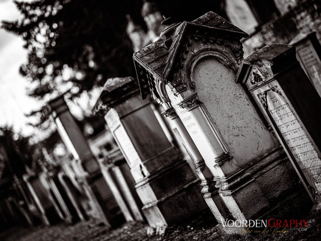 Hauptfriedhof / Jüdischer Friedhof Mannheim