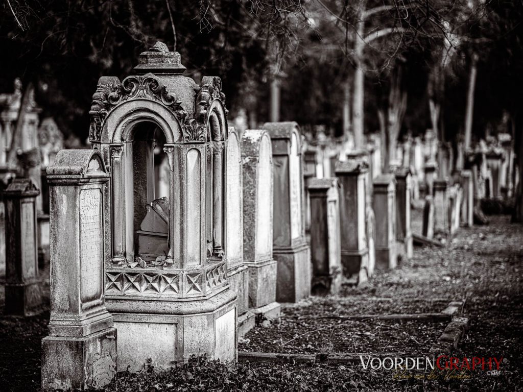 Hauptfriedhof / Jüdischer Friedhof Mannheim