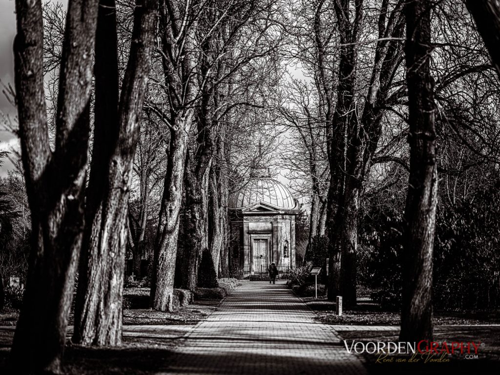 Hauptfriedhof / Jüdischer Friedhof Mannheim