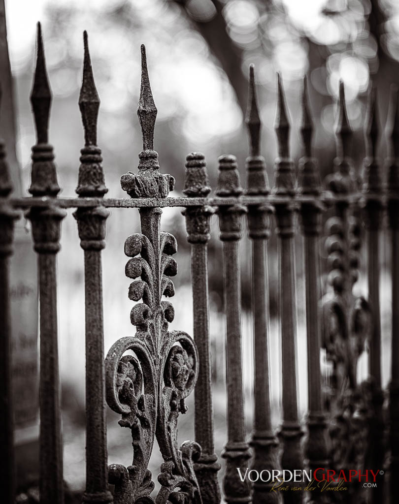 Hauptfriedhof / Jüdischer Friedhof Mannheim