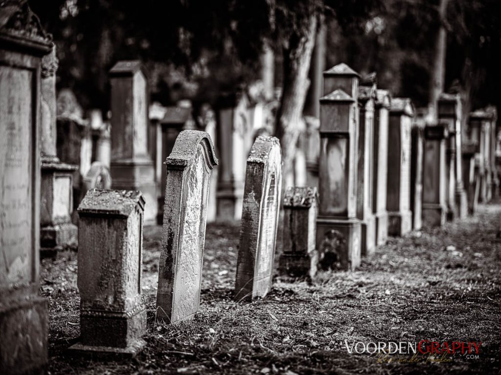 Hauptfriedhof / Jüdischer Friedhof Mannheim