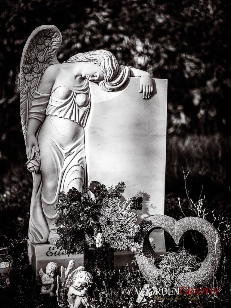 Hauptfriedhof / Jüdischer Friedhof Mannheim