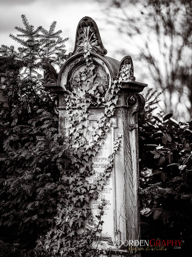 Hauptfriedhof / Jüdischer Friedhof Mannheim