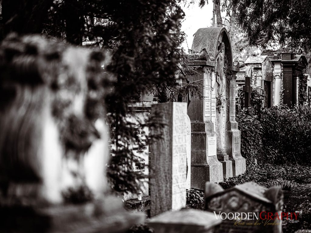 Hauptfriedhof / Jüdischer Friedhof Mannheim