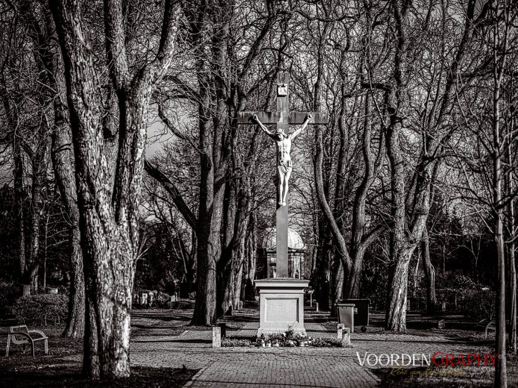 Hauptfriedhof / Jüdischer Friedhof Mannheim